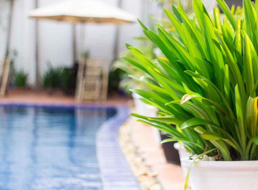 Overflow Guesthouse Siem Reap Bagian luar foto